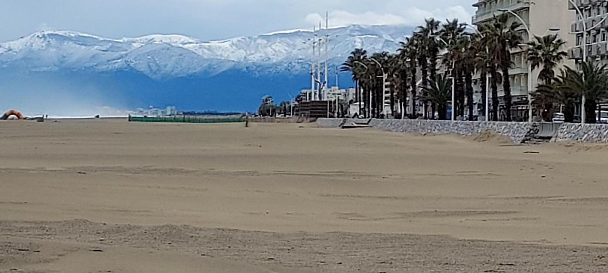 Chambres D'Hotes Un Ete Sans Fin A 50 M De La Plage A Canet Plage Екстериор снимка
